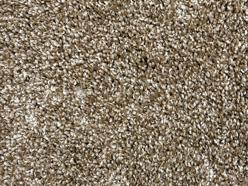 Camelback (Cape Cod 25 oz.)